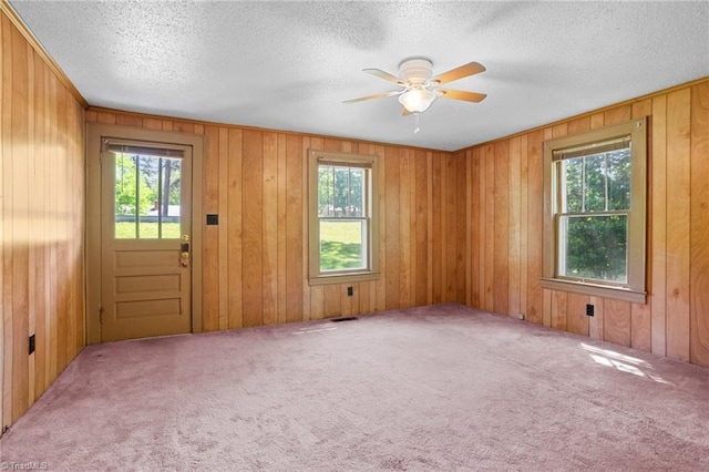 interior space with carpet flooring, wood walls, a healthy amount of sunlight, and a textured ceiling