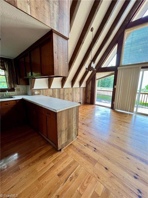 kitchen with sink, light wood-type flooring, lofted ceiling, and a healthy amount of sunlight