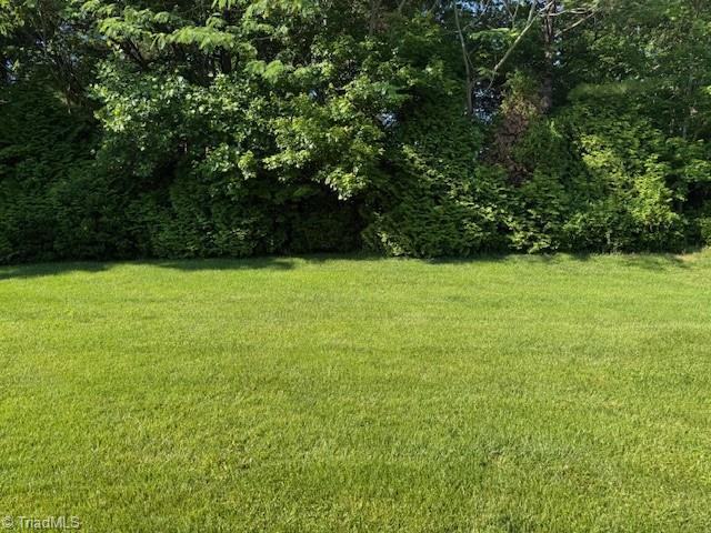 4373 Rex Ct, Winston-Salem, NC 27107 - view of green lawn