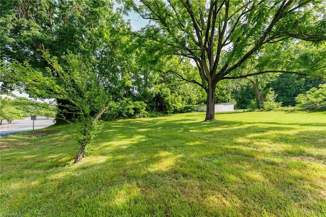 127 Oak Summit Rd, Winston-Salem, NC 27105 - view of green lawn
