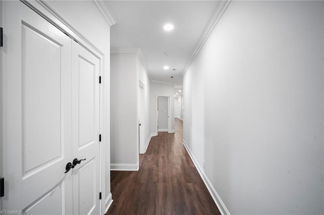 corridor featuring dark wood-type flooring and crown molding