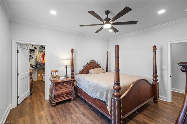 bedroom featuring dark wood-type flooring, ornamental molding, ceiling fan, a closet, and a walk in closet