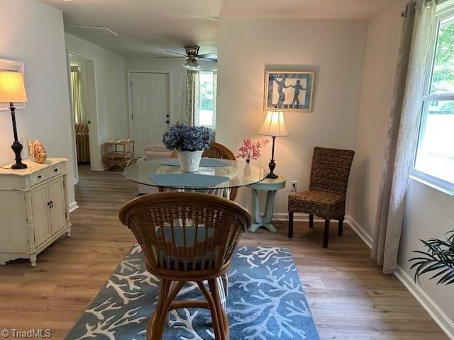 545 S Fieldcrest Rd, Eden, NC 27288 - dining space with healthy amount of natural light, light wood-style flooring, ceiling fan, and baseboards