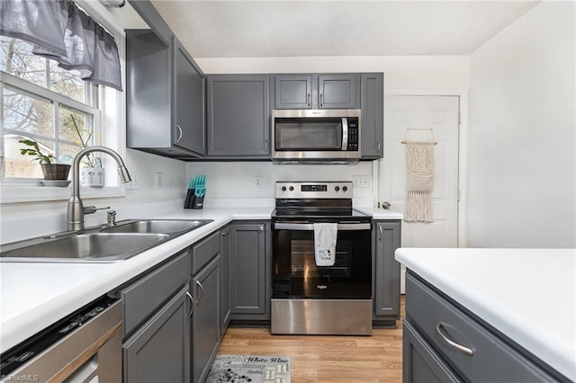 kitchen with gray cabinetry, stainless steel appliances, a sink, light wood-style floors, and light countertops