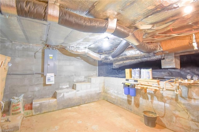 unfinished below grade area featuring electric panel