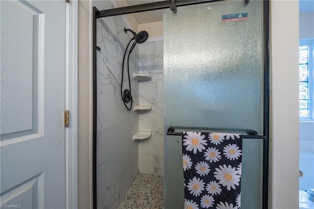 bathroom featuring a shower with shower door