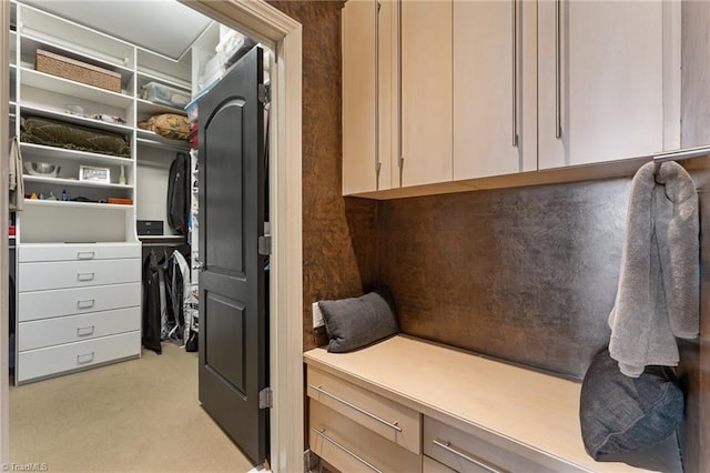 spacious closet with light colored carpet