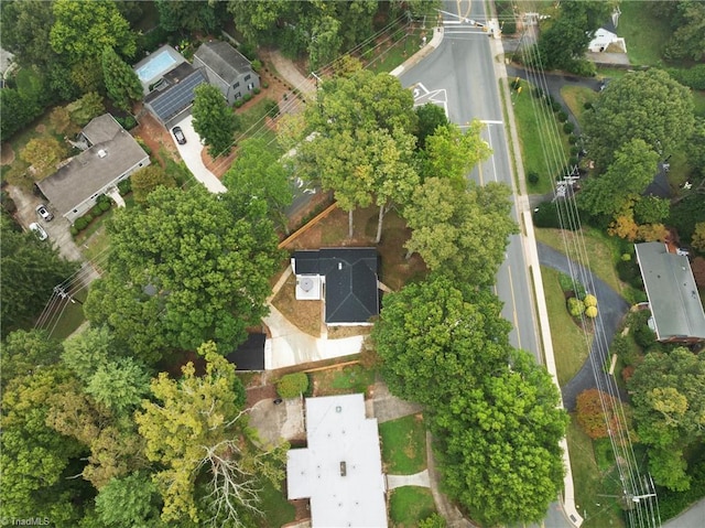 bird's eye view