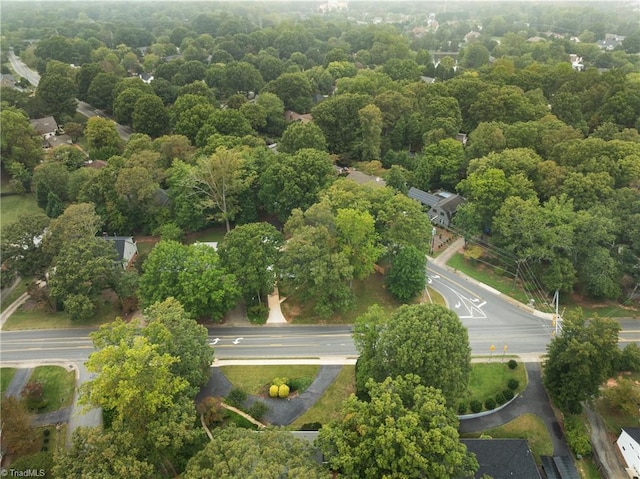 bird's eye view