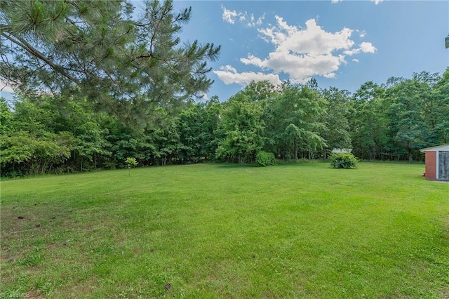 1055 Old Silver Hill Rd, Lexington, NC 27292 - view of grassy yard featuring a forest view and an outdoor structure