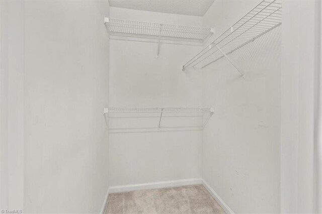 spacious closet featuring light colored carpet