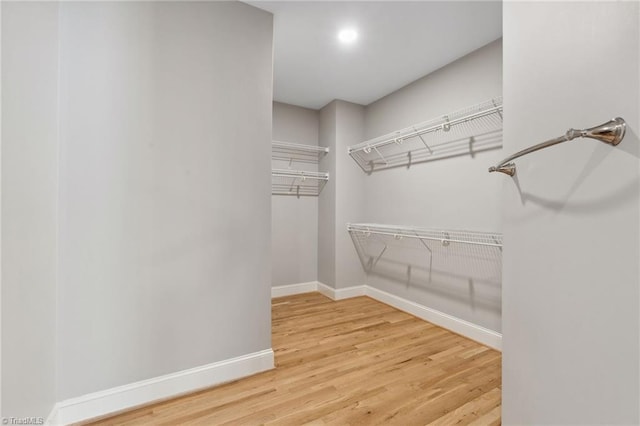 spacious closet featuring wood finished floors