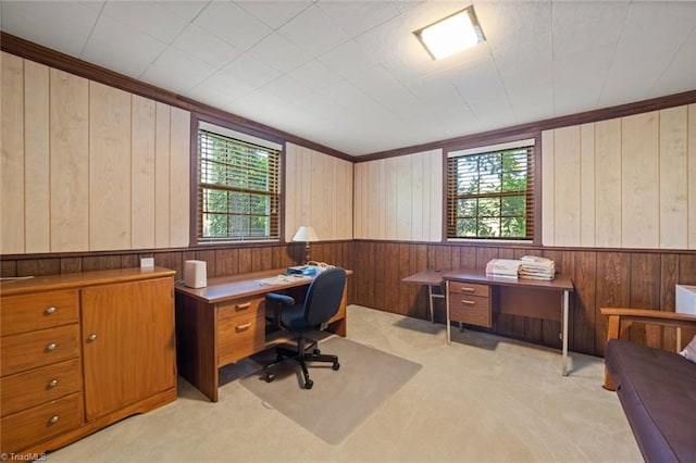 carpeted home office featuring wooden walls, a wainscoted wall, and ornamental molding