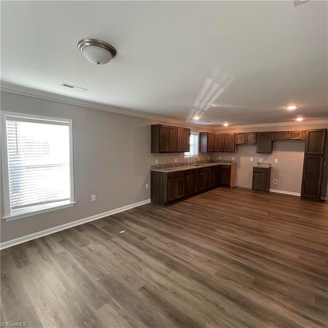 kitchen with sink, ornamental molding, and dark wood-type flooring