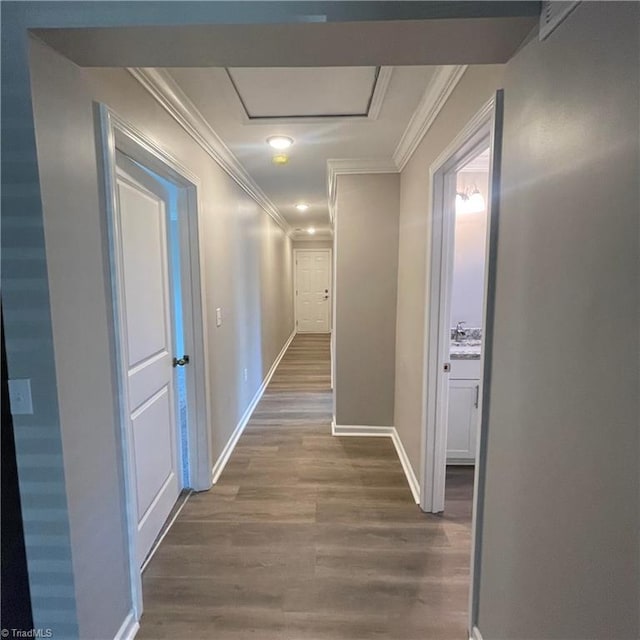 hall featuring crown molding and hardwood / wood-style flooring