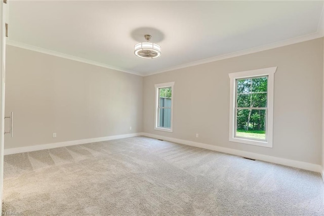 spare room featuring carpet and crown molding