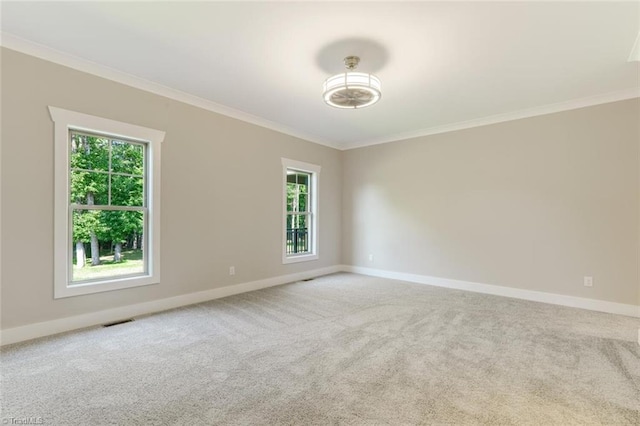 empty room with a wealth of natural light, carpet, and ornamental molding