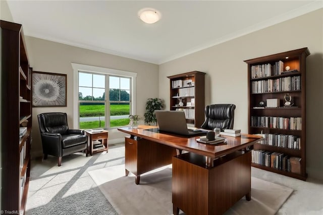 carpeted home office with crown molding