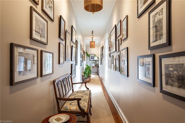 corridor with carpet flooring and ornamental molding