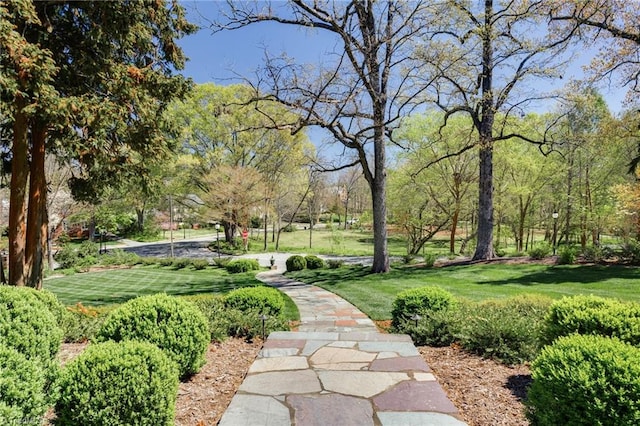 view of community featuring a yard