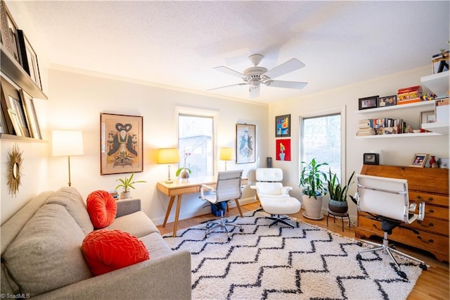 office area featuring ceiling fan, crown molding, and light hardwood / wood-style flooring