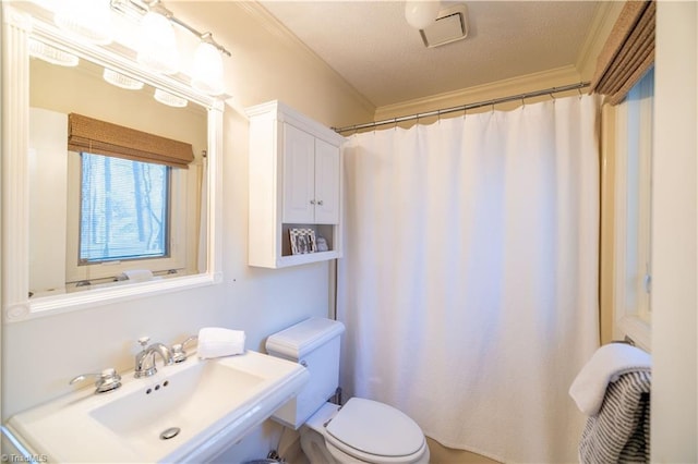 bathroom with sink, crown molding, a textured ceiling, and toilet