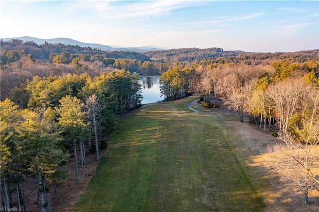 drone / aerial view featuring a water and mountain view