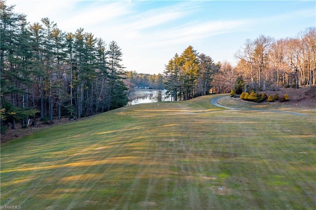 view of yard featuring a water view