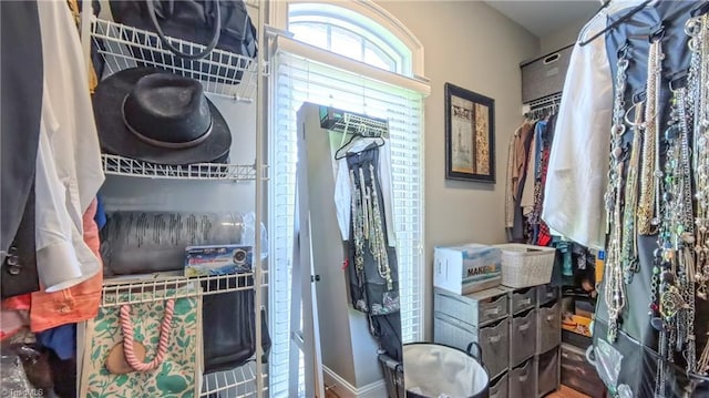 1250 Whitworth Ct, Kernersville, NC 27284 - view of walk in closet