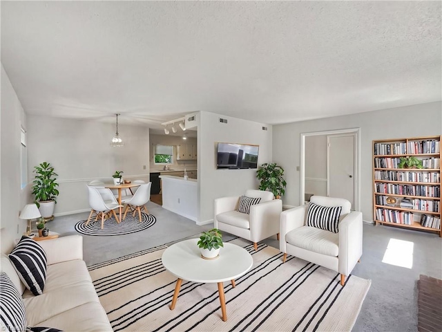 living room featuring a textured ceiling