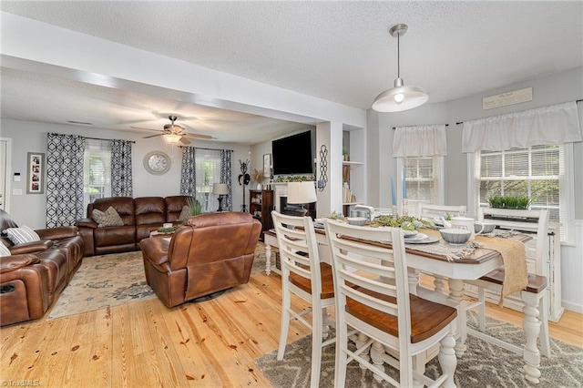 dining room with a ceiling fan, a textured ceiling, and wood finished floors