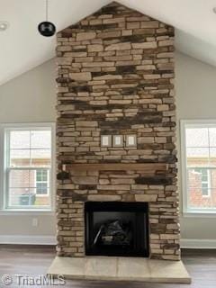 interior details with a stone fireplace and wood-type flooring