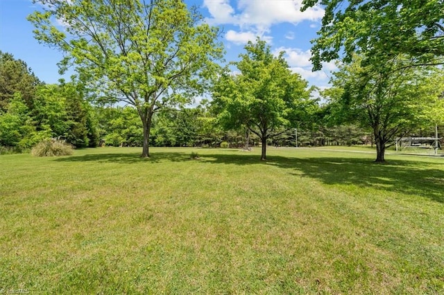 2517 Hopewell Friends Rd, Asheboro, NC 27205 - view of grassy yard