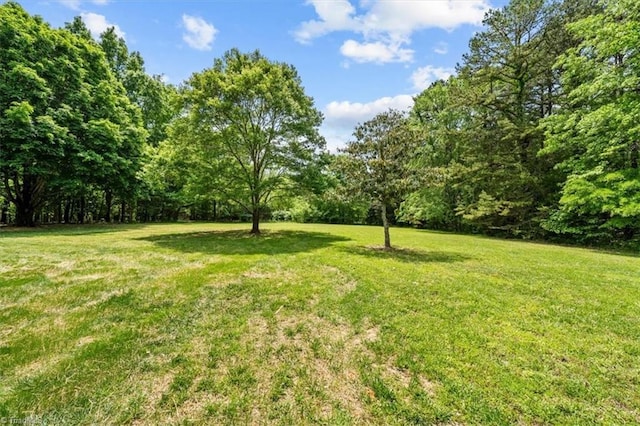 2517 Hopewell Friends Rd, Asheboro, NC 27205 - view of grassy yard