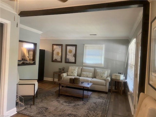 living room featuring crown molding and dark wood-type flooring