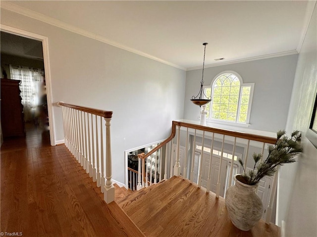 stairway with hardwood / wood-style flooring and ornamental molding