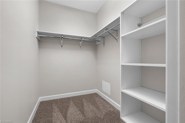 walk in closet featuring carpet floors