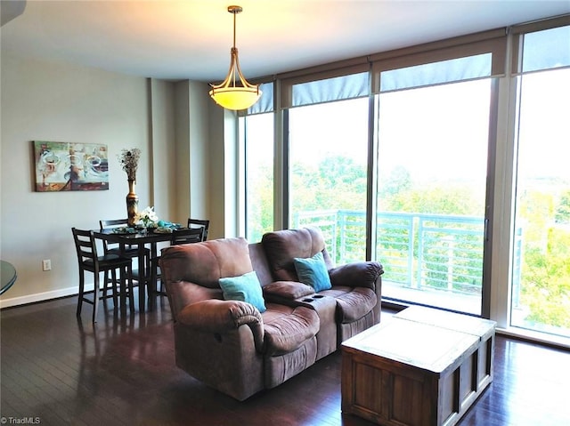 living room with dark wood-type flooring