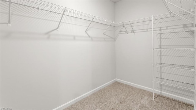 1529 String Dr, Winston-Salem, NC 27107 - spacious closet featuring carpet flooring