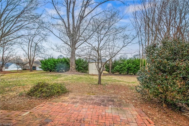 view of yard featuring a shed