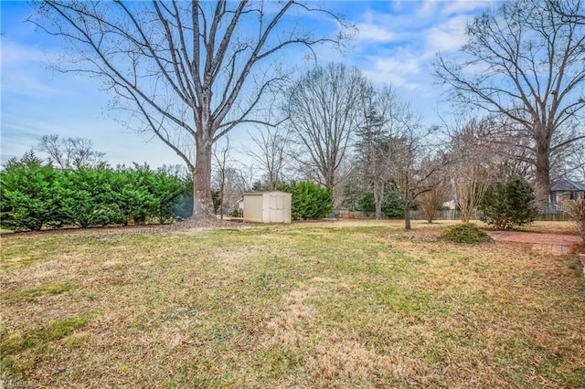 view of yard with a storage shed