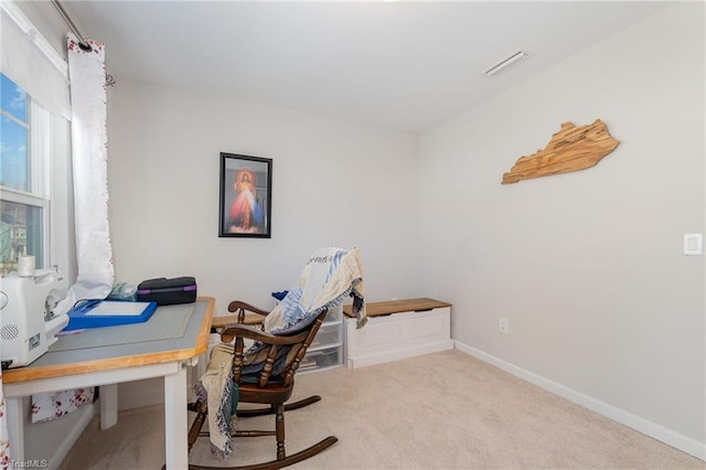 home office with light colored carpet and a wealth of natural light