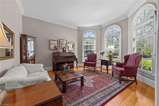 sitting room featuring crown molding and wood-type flooring