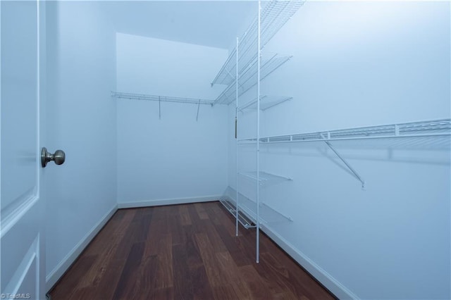 spacious closet featuring dark hardwood / wood-style floors