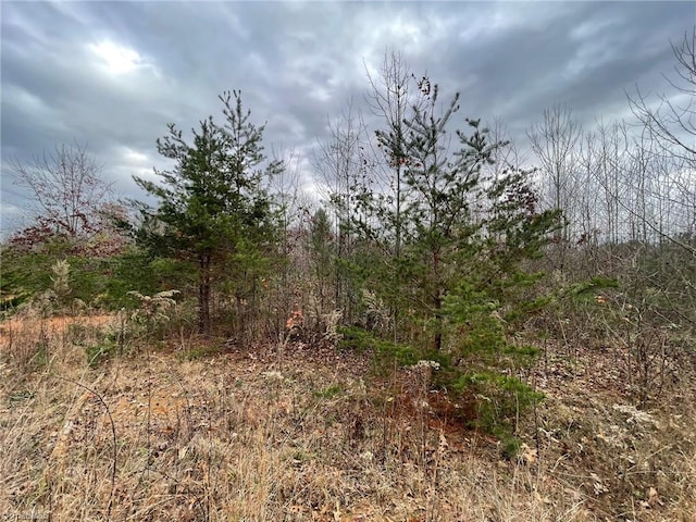 LOT12 Pulco Ln, Ronda NC, 28670 land for sale