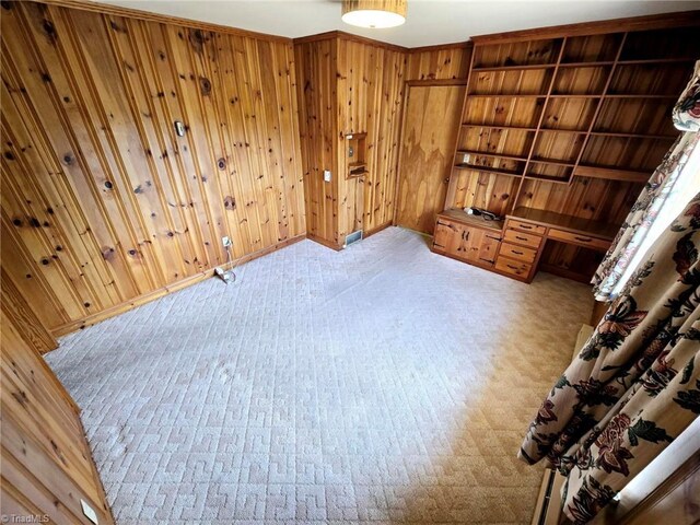3015 S NC Highway 87, Graham, NC 27253 - spare room with wooden walls and carpet flooring