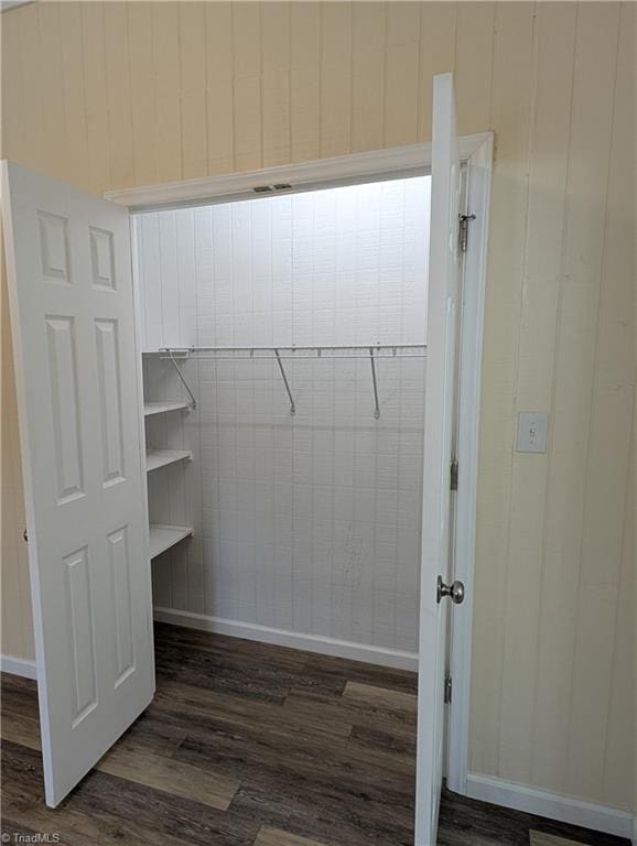 spacious closet featuring dark wood-style flooring