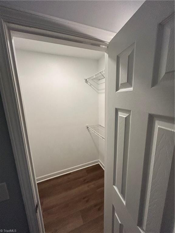 spacious closet featuring dark hardwood / wood-style flooring