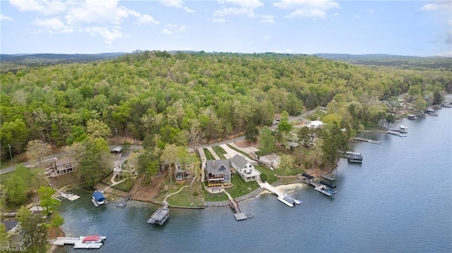 602 Shoreline Rd, New London, NC 28127 - bird's eye view of a forest and a nearby body of water