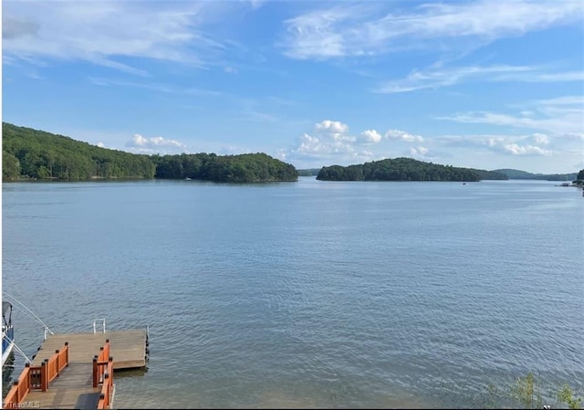 602 Shoreline Rd, New London, NC 28127 - dock featuring a water view and a forest view